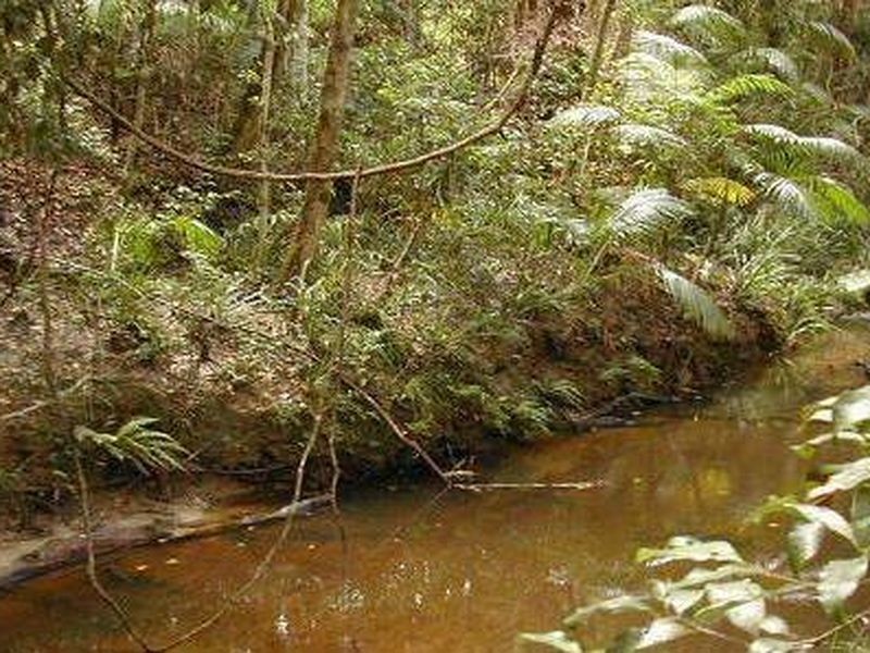 680 Valery Road, Valery NSW 2454