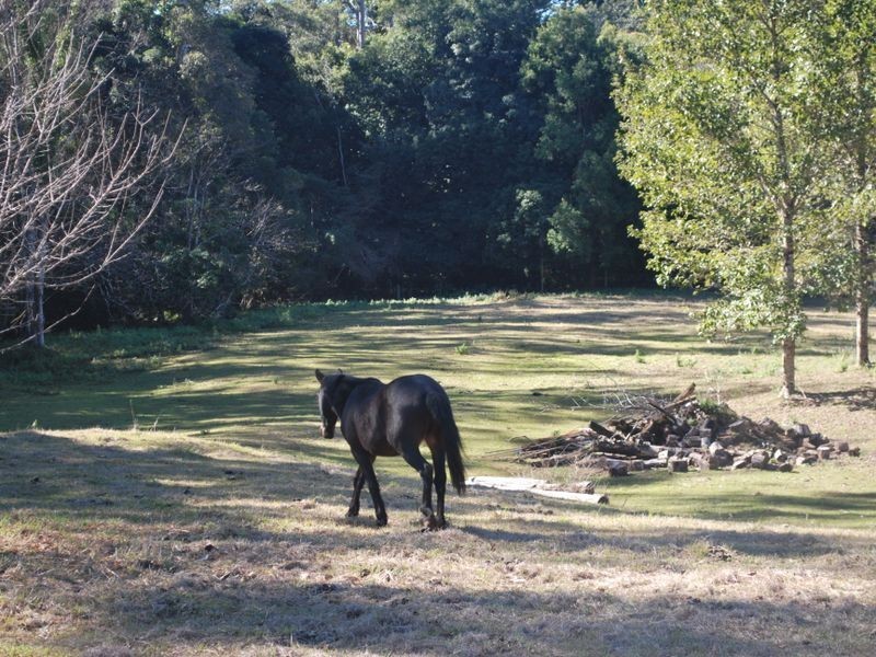 680 Valery Road, Valery NSW 2454