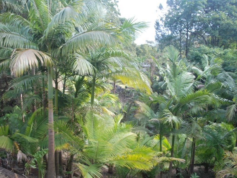 12 Aston Close, Coffs Harbour NSW 2450