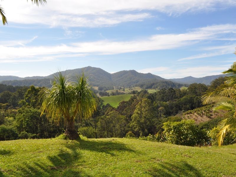 98 Dyers Loop Road, Missabotti NSW 2449