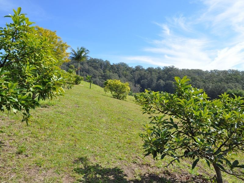 98 Dyers Loop Road, Missabotti NSW 2449