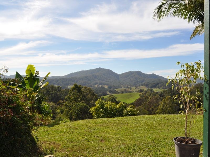 98 Dyers Loop Road, Missabotti NSW 2449