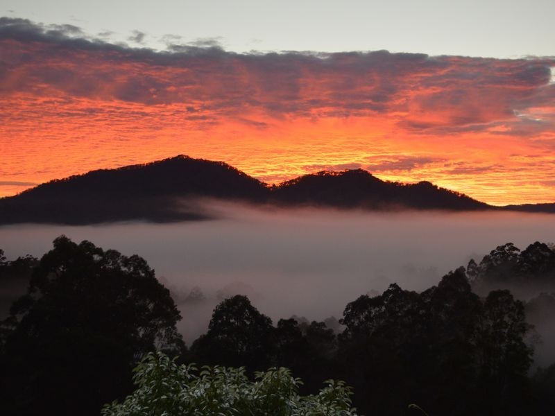 98 Dyers Loop Road, Missabotti NSW 2449