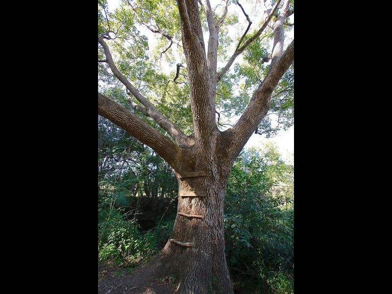 Lot 2 Hampshire Close, Coffs Harbour NSW 2450