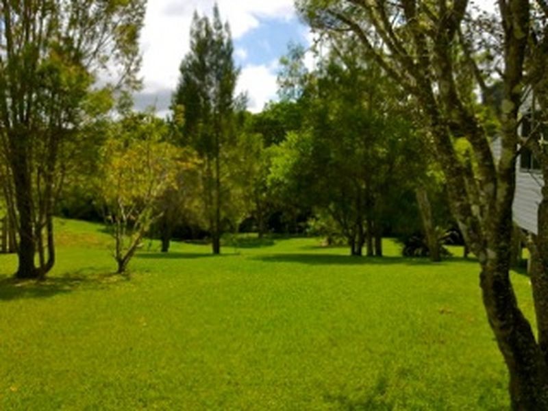 135A Pine Avenue, Ulong NSW 2450