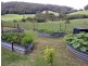 76 Pine Avenue, Ulong NSW 2450