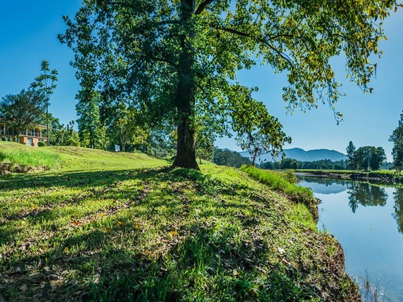 634 Gordonville Road, Bellingen NSW 2454