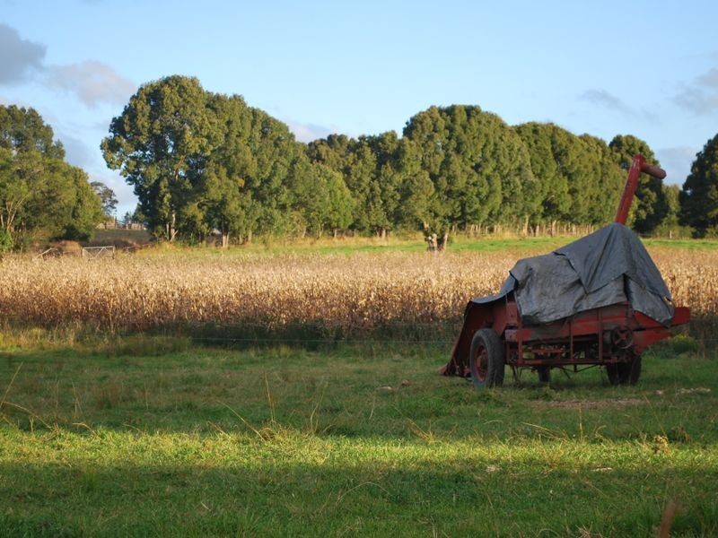 Lot 2 East Bank Road, Nana Glen NSW 2450