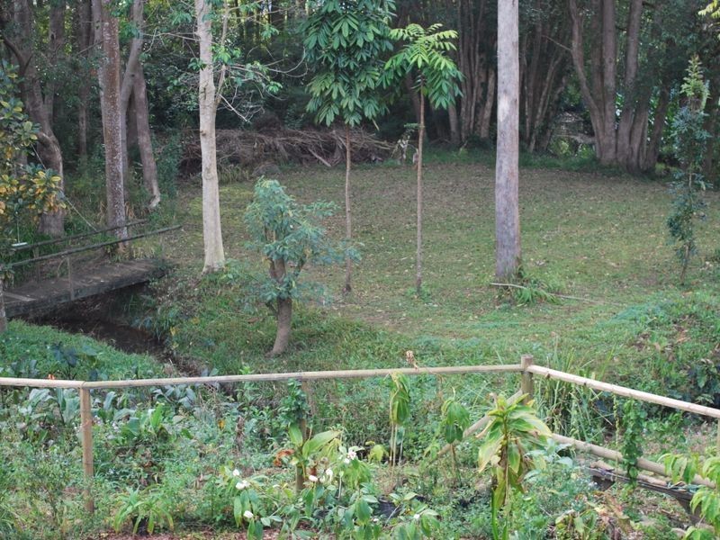 7-9 Prince Street, Bellingen NSW 2454