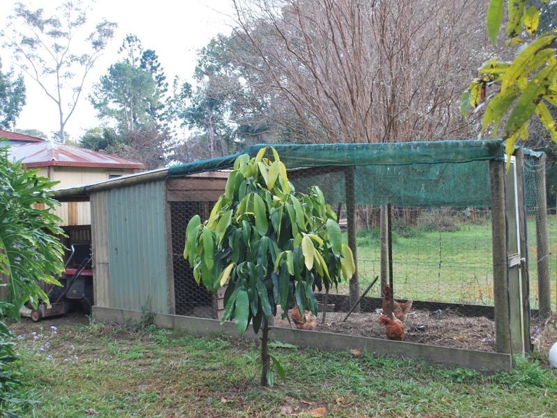 7-9 Prince Street, Bellingen NSW 2454