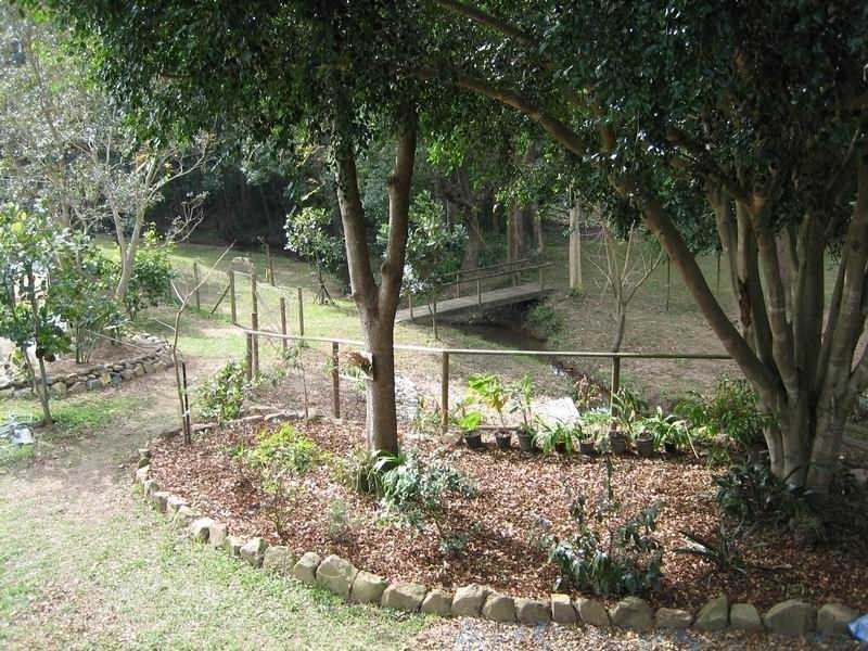 7-9 Prince Street, Bellingen NSW 2454