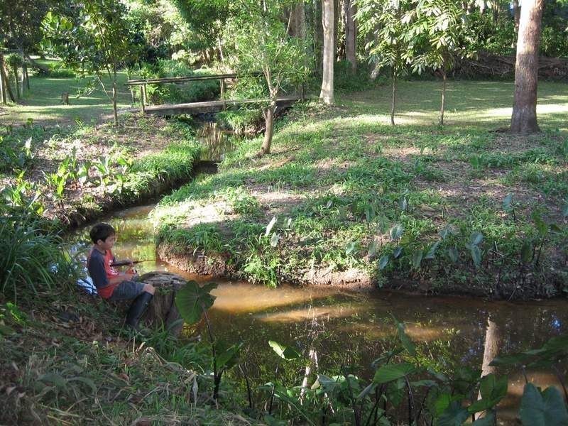 7-9 Prince Street, Bellingen NSW 2454