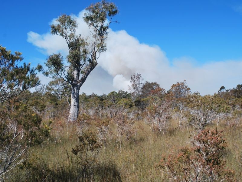 263 Omega Drive, Kungala NSW 2460