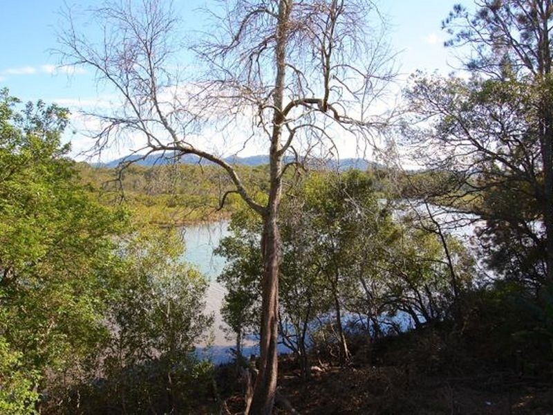 1/48 Mildura Street, Coffs Harbour NSW 2450