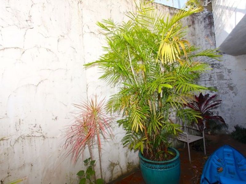 1/48 Mildura Street, Coffs Harbour NSW 2450