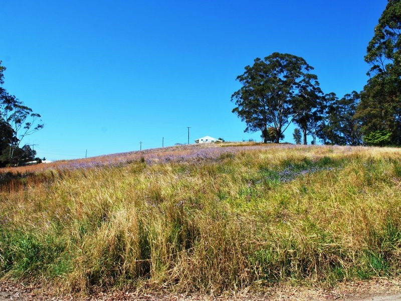 Lyons Road  – Storyland Gardens, Bonville NSW 2441