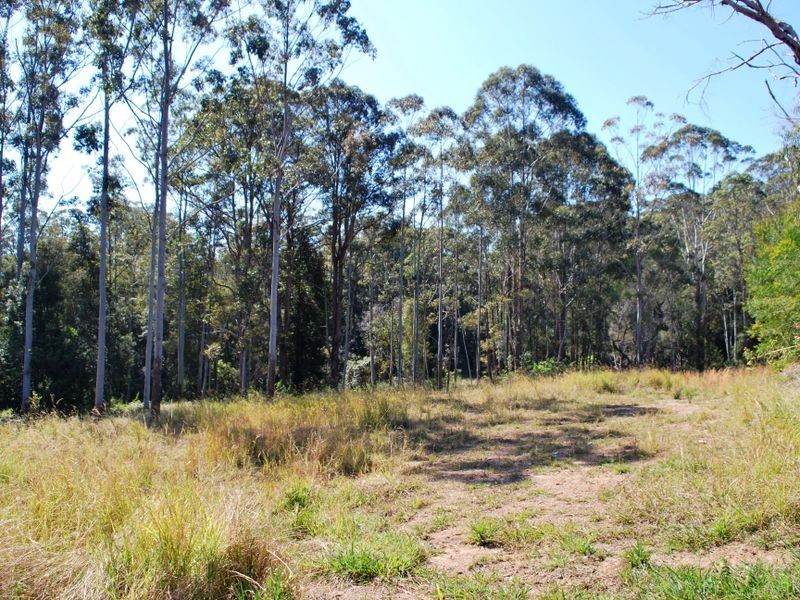 Lyons Road  – Storyland Gardens, Bonville NSW 2441