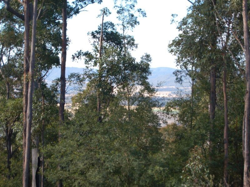 2453 Buckets Way, Wards River NSW 2422