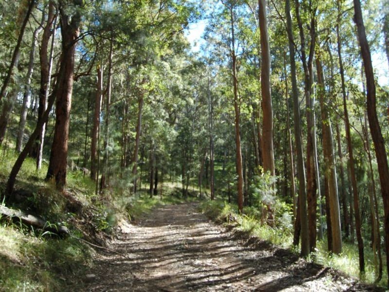 2453 Buckets Way, Wards River NSW 2422