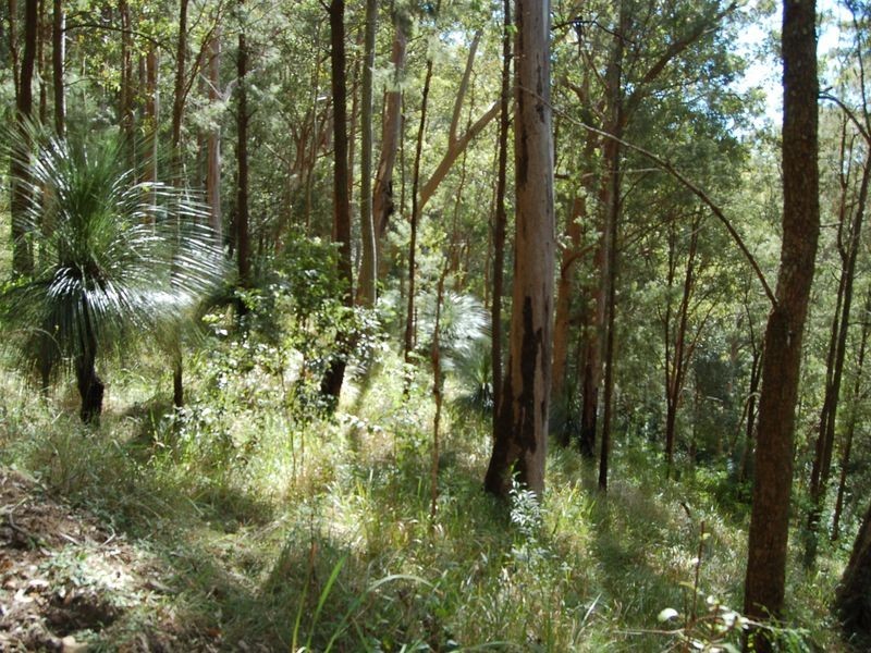 2453 Buckets Way, Wards River NSW 2422