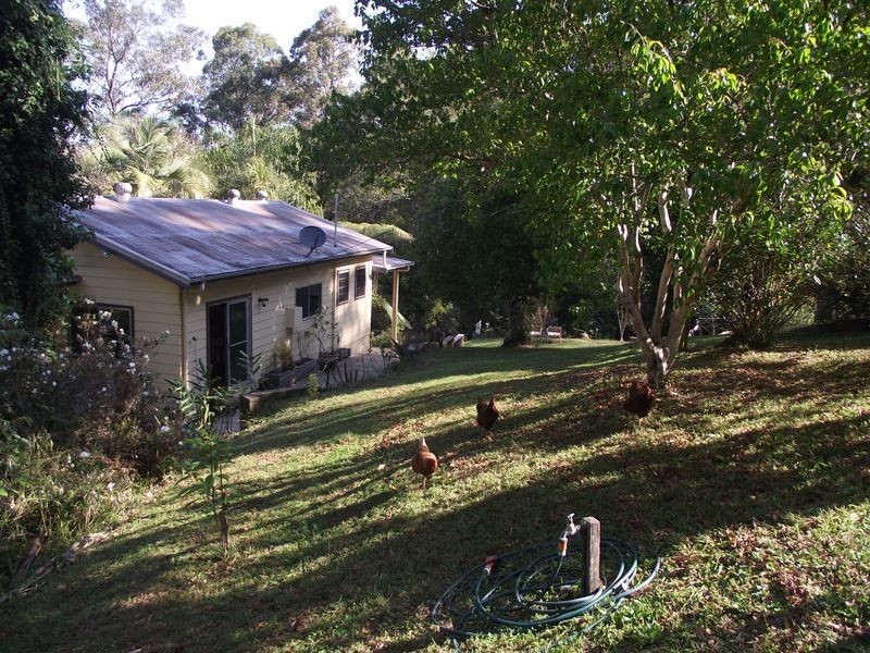 50 William Street, Bellingen NSW 2454