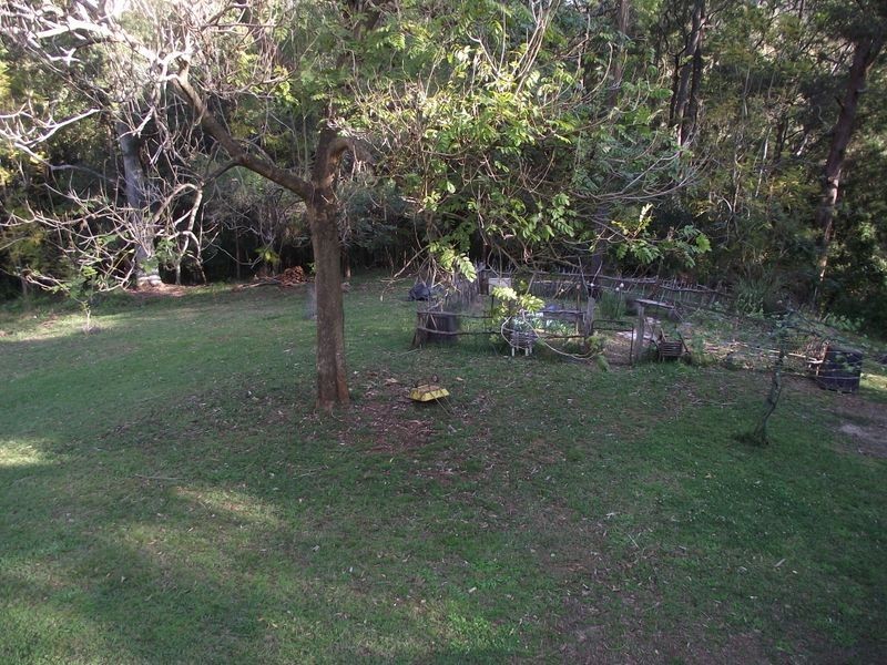 50 William Street, Bellingen NSW 2454