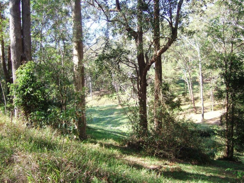 10 Gordon Street, Raleigh NSW 2454