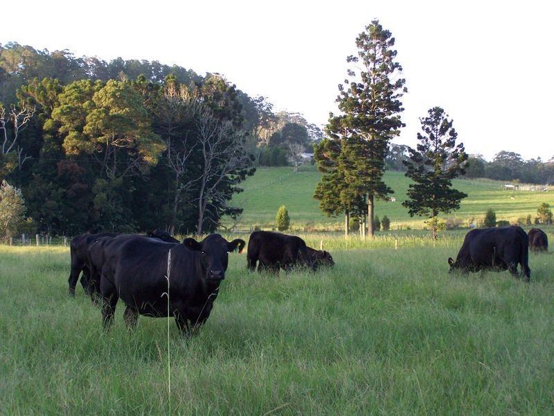 11 Lowanna Road, Lowanna NSW 2450