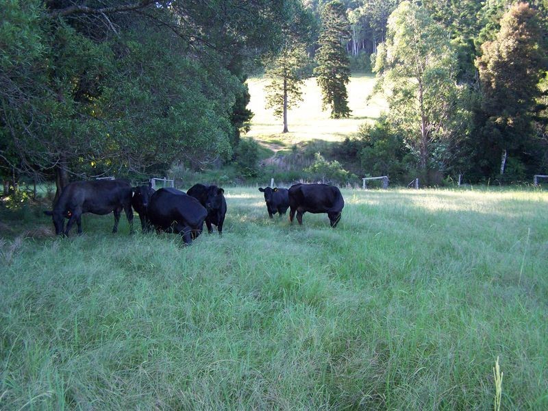 11 Lowanna Road, Lowanna NSW 2450