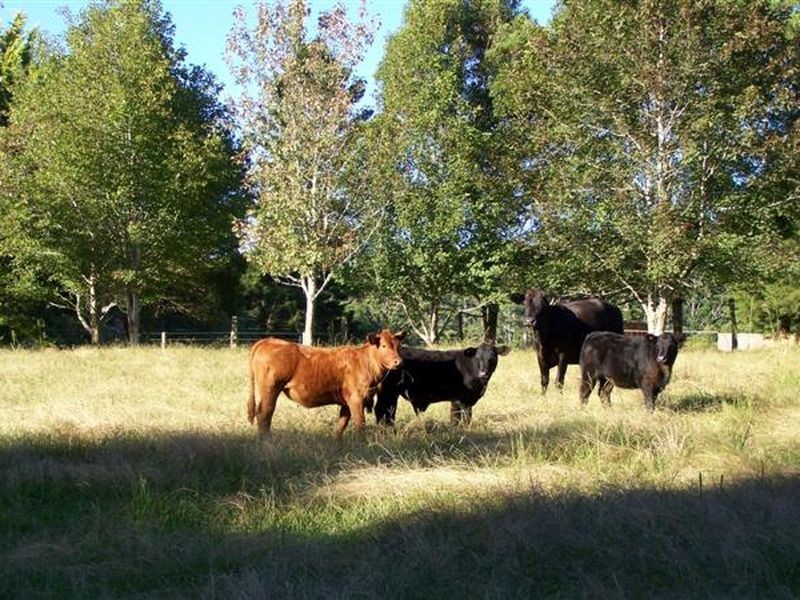 11 Lowanna Road, Lowanna NSW 2450