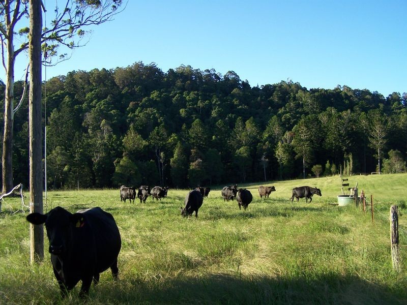 11 Lowanna Road, Lowanna NSW 2450