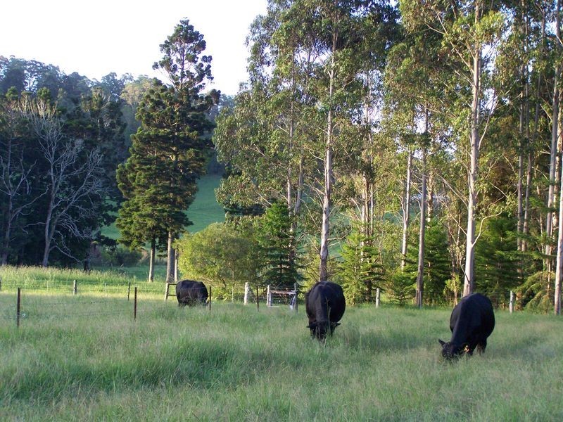 11 Lowanna Road, Lowanna NSW 2450