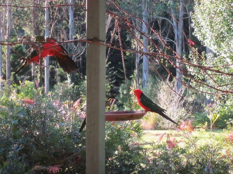 11 Lowanna Road, Lowanna NSW 2450