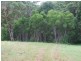 18 Charles Place, Nambucca Heads NSW 2448