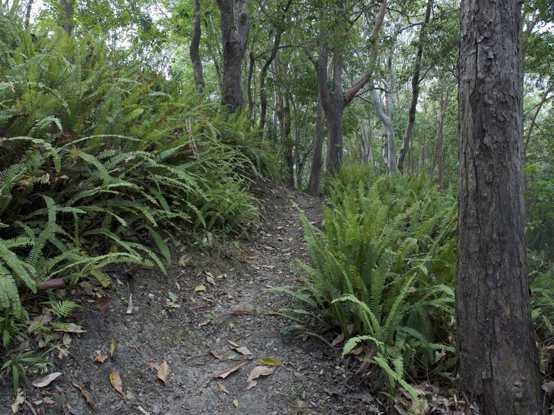 14 Cockburn Street, Valla Beach NSW 2448