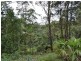 Lot 96 Solider Settlers Road, Newee Creek NSW 2447