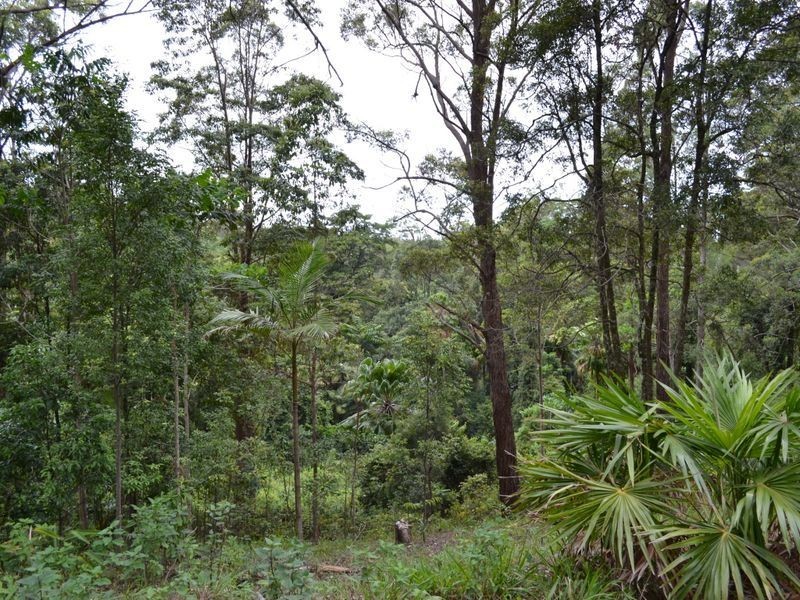 Lot 96 Solider Settlers Road, Newee Creek NSW 2447