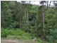 Lot 96 Solider Settlers Road, Newee Creek NSW 2447