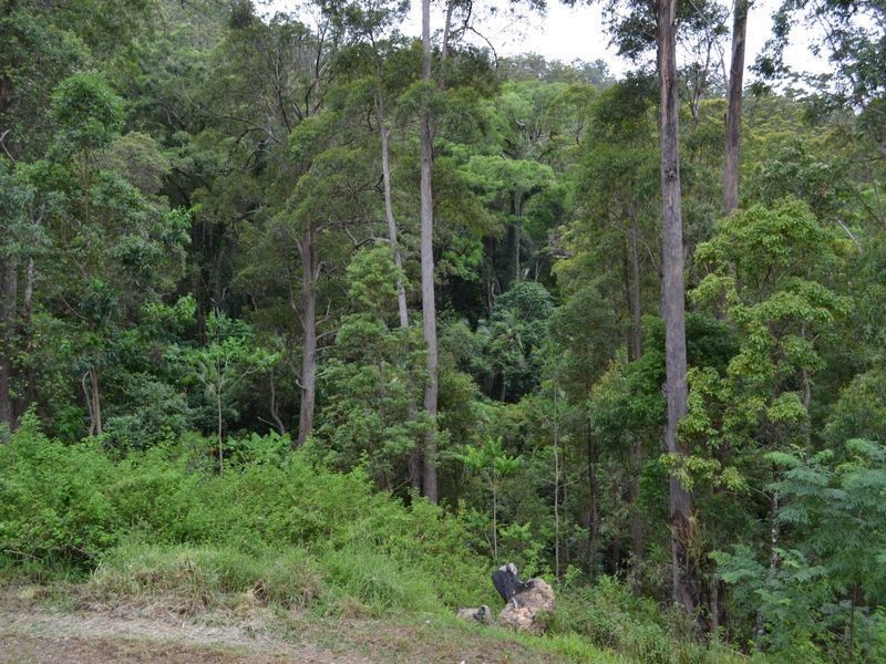 Lot 96 Solider Settlers Road, Newee Creek NSW 2447