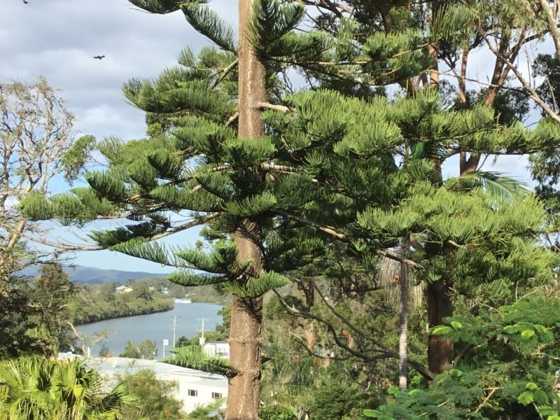 34 Bellwood Drive, Nambucca Heads NSW 2448