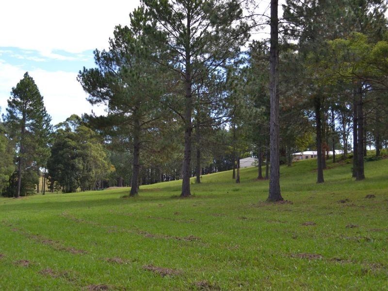 Lot 12 Rosemary Gardens, Macksville NSW 2447