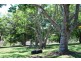12 Kerr Drive, Macksville NSW 2447