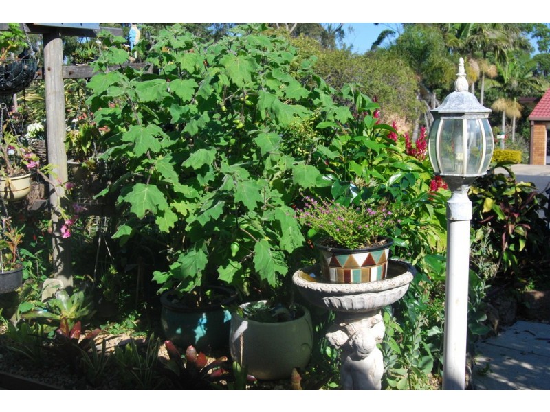 18 Banksia Crescent, Nambucca Heads NSW 2448