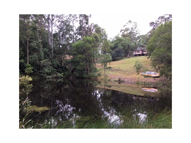 115 Millers Road, Newee Creek NSW 2447