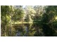 115 Millers Road, Newee Creek NSW 2447