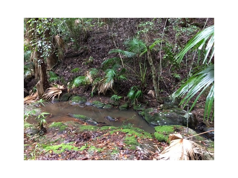 115 Millers Road, Newee Creek NSW 2447