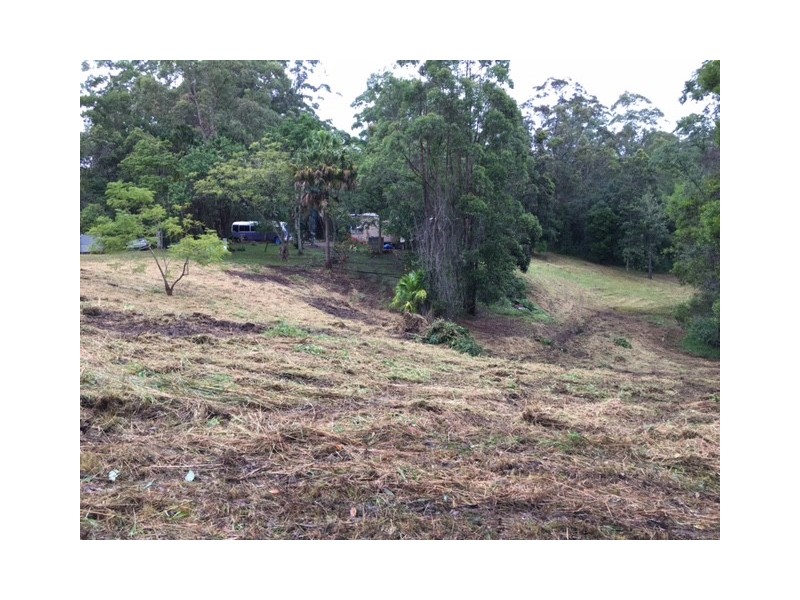 115 Millers Road, Newee Creek NSW 2447