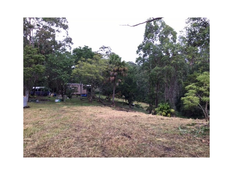 115 Millers Road, Newee Creek NSW 2447