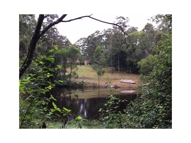 115 Millers Road, Newee Creek NSW 2447