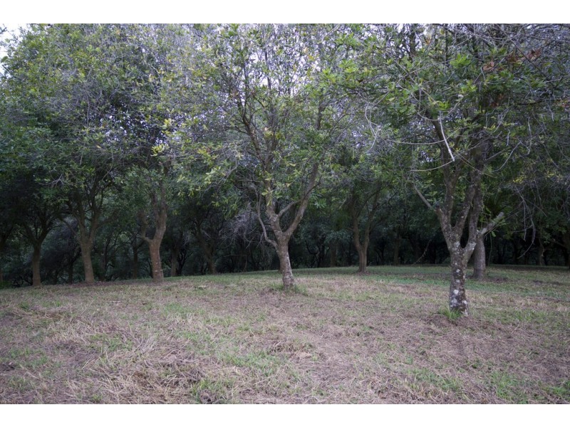 174 Mitchells Road, Valla NSW 2448